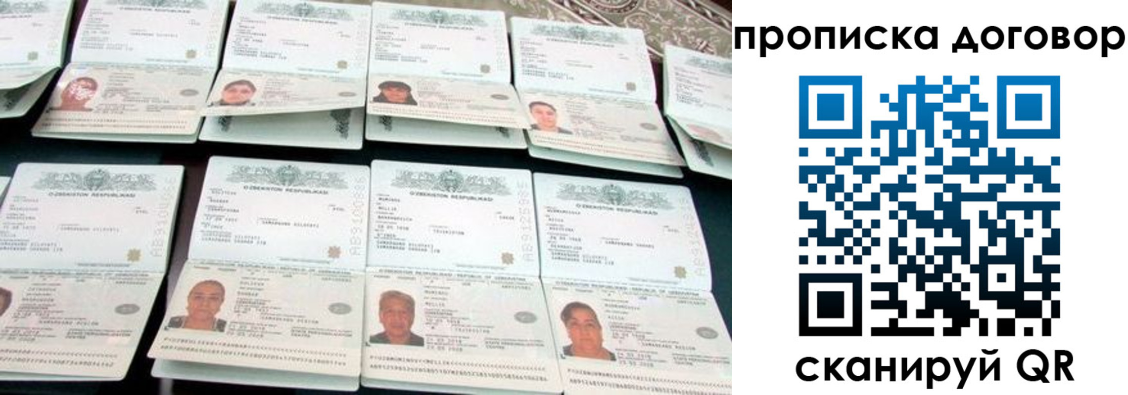 прописка для школы в Суворове